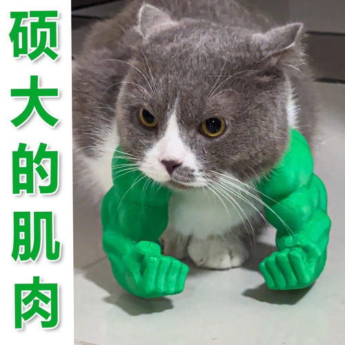 3D打印玩具猫咪肌肉手臂挂件