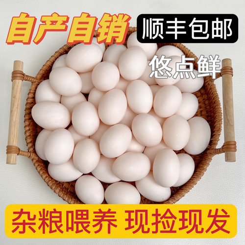 新鲜鸽子蛋农家自养自销五谷喂养