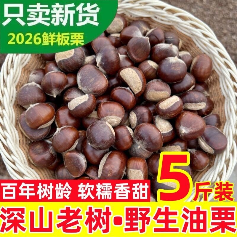 新货沂蒙山野生油板栗野栗子