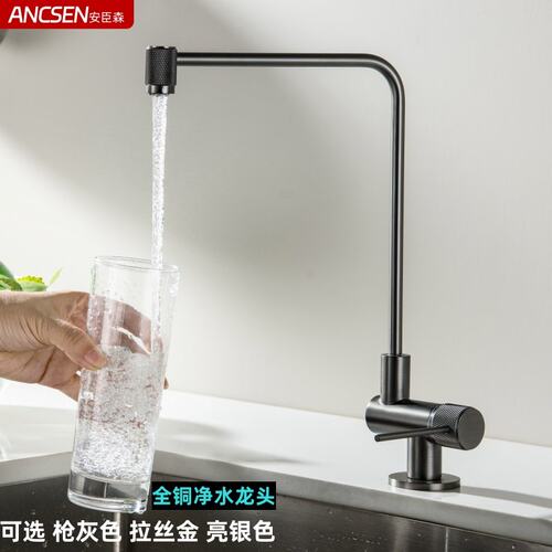 德国全铜厨房水槽单冷净水龙头