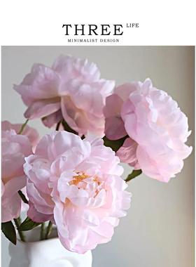 Tlife·Phoenix·真花芍药牡丹花假花摆设客厅高级装饰花 |凤凰