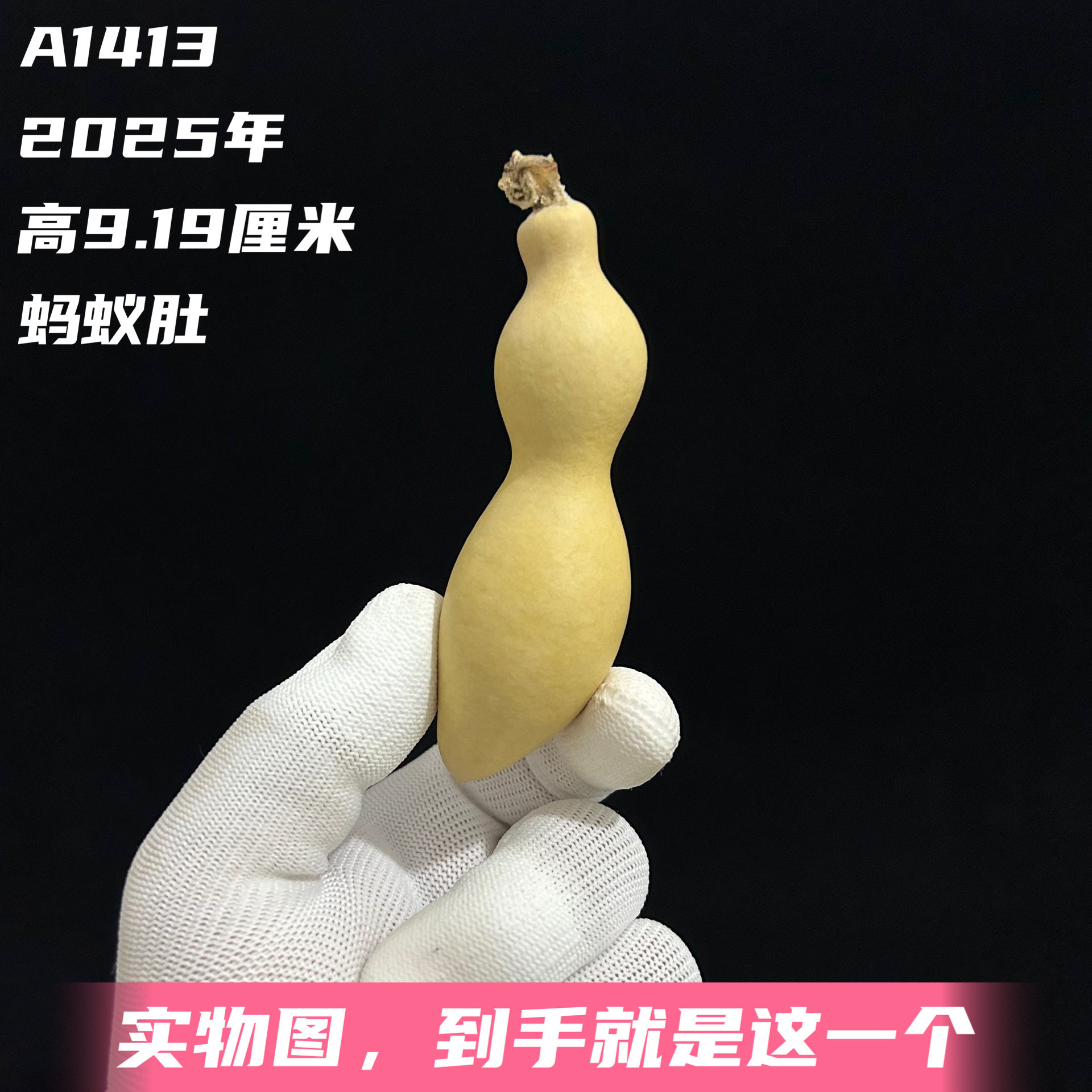 A1413高9.19厘米2025年精品手捻粗嘴尖肚绿皮蚂蚁肚葫芦