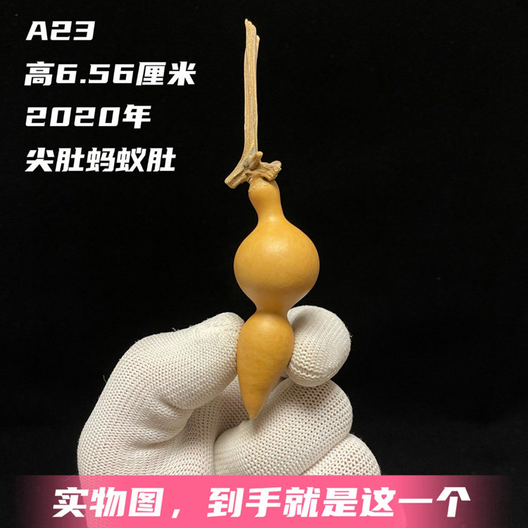 A23高6.5厘米鸡心尖肚粗翻嘴端肩手捻蚂蚁肚小葫芦精品一物一图