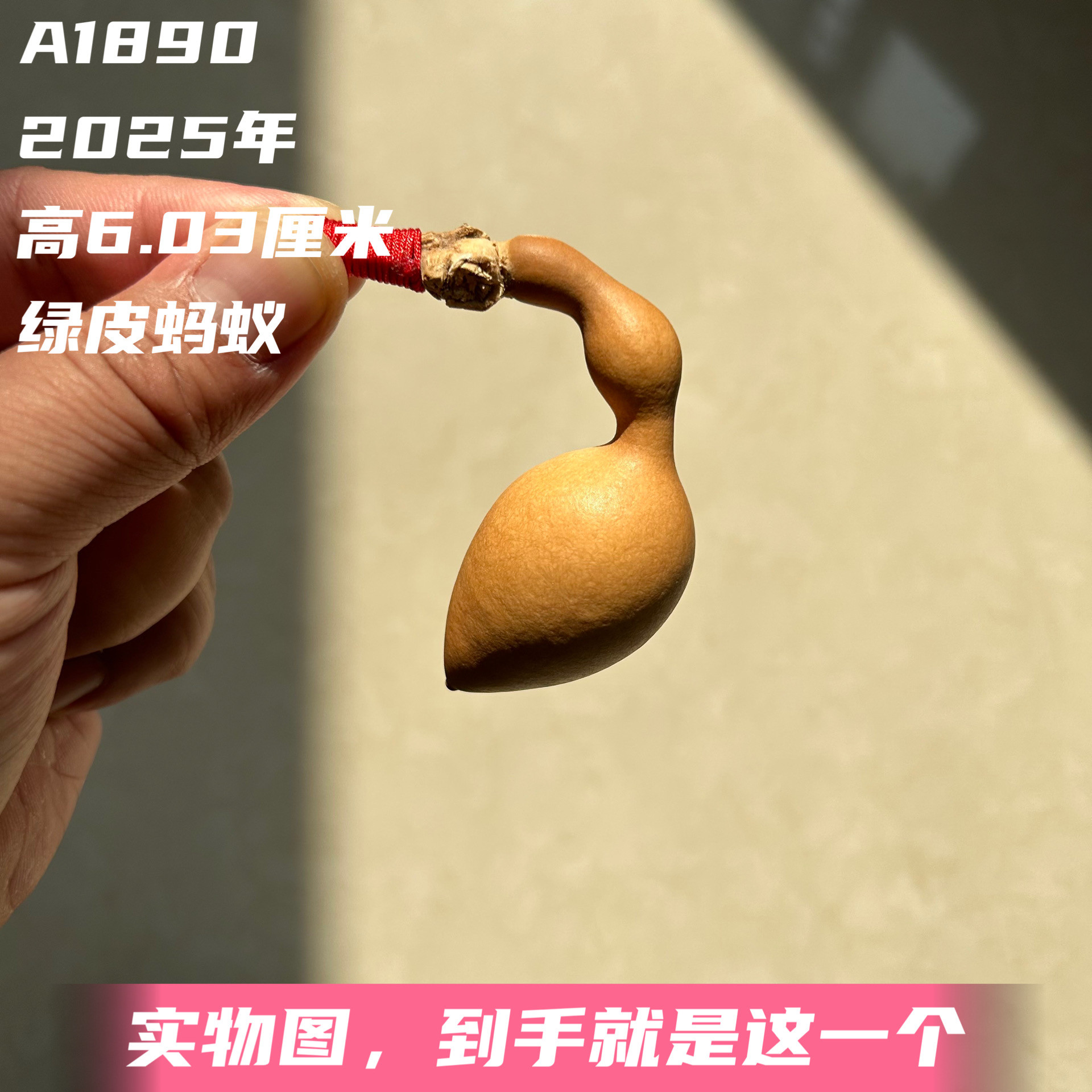 A1890高6.03厘米2025年精品手捻弓背绿皮蚂蚁肚葫芦