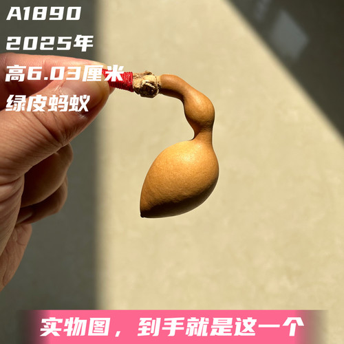 A1890高6.03厘米2025年精品手捻弓背绿皮蚂蚁肚葫芦