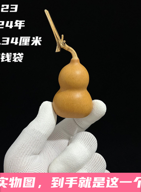 A1323高5.34厘米2024年精品手捻异形钱布袋葫芦