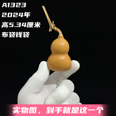 A1323高5.34厘米2024年精品手捻异形钱布袋葫芦