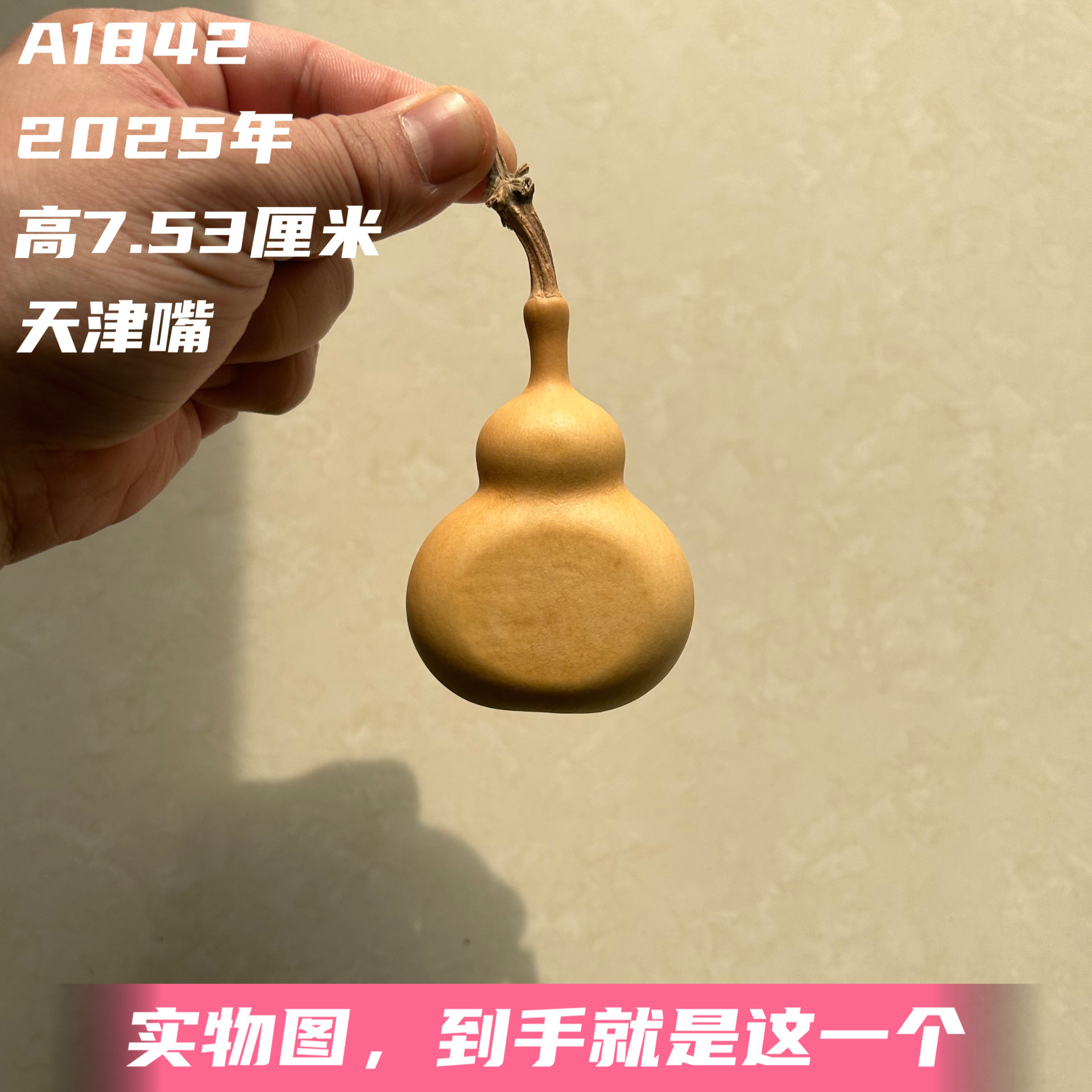 A1842高7.53厘米2025年精品手捻天津嘴八宝葫芦夹板