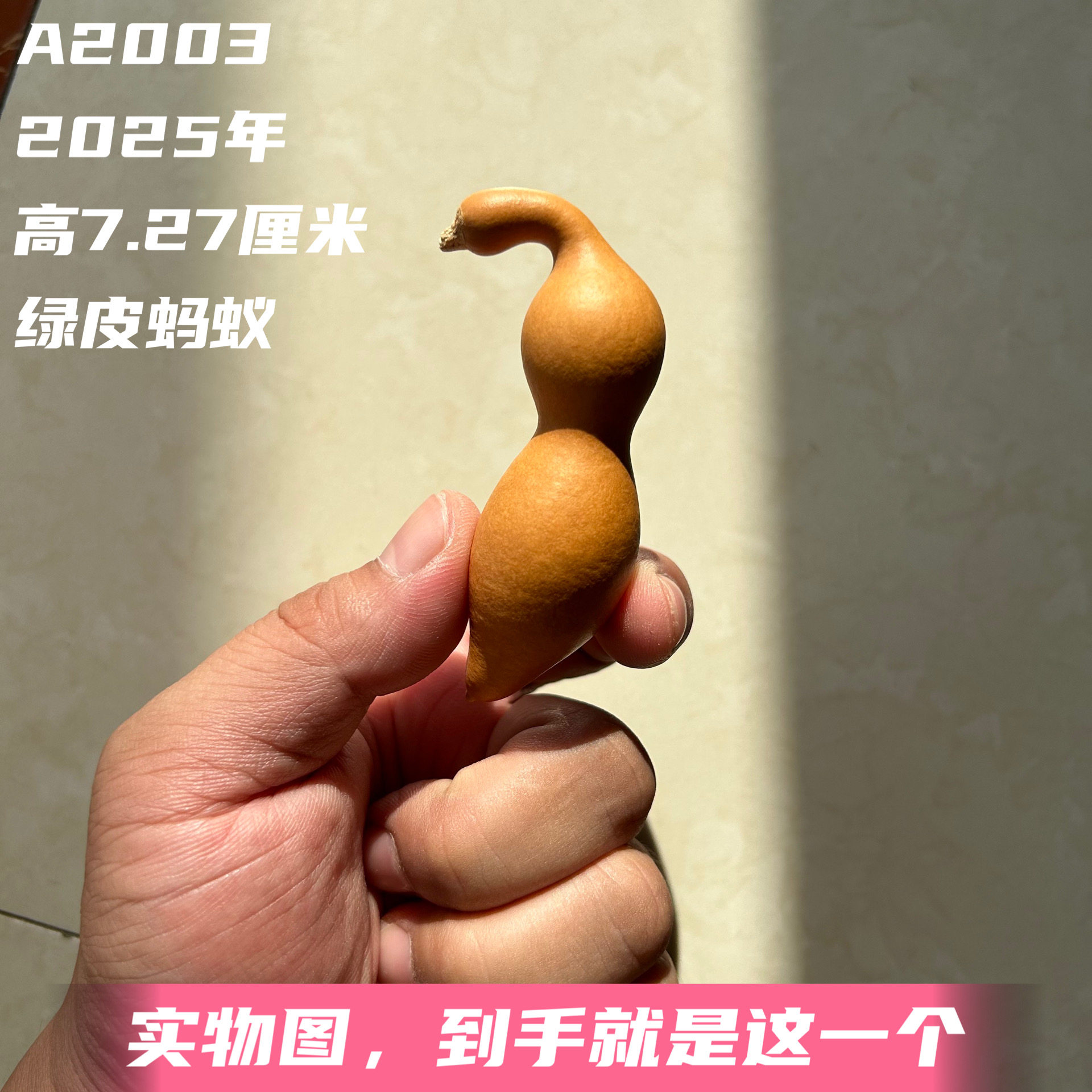 A2003高7.27厘米2025年精品手捻柳叶绿皮蚂蚁肚葫芦