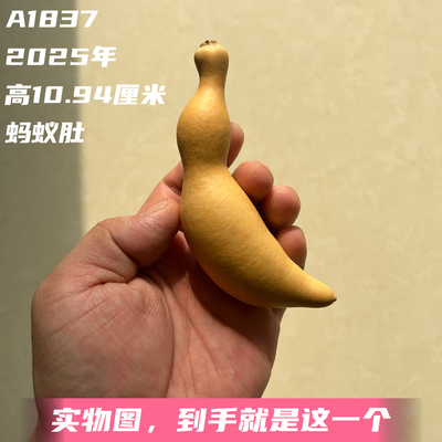 A1837高10.94厘米2025年精品手捻异形绿皮蚂蚁肚葫芦