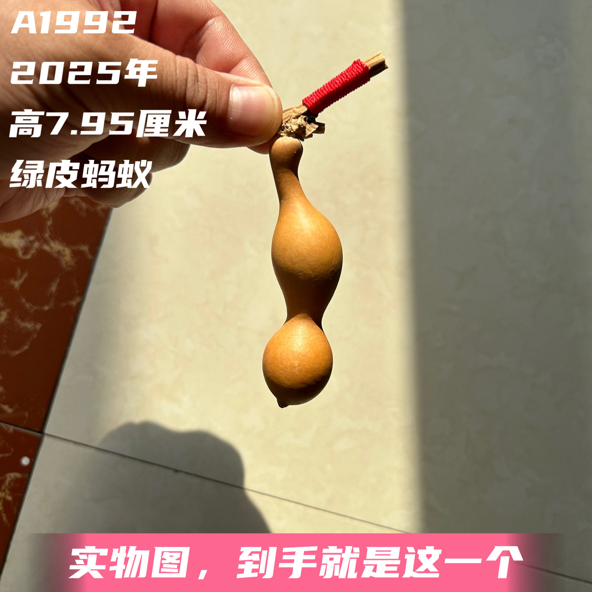 A1992高7.95厘米2025年精品手捻将军肚绿皮蚂蚁肚葫芦