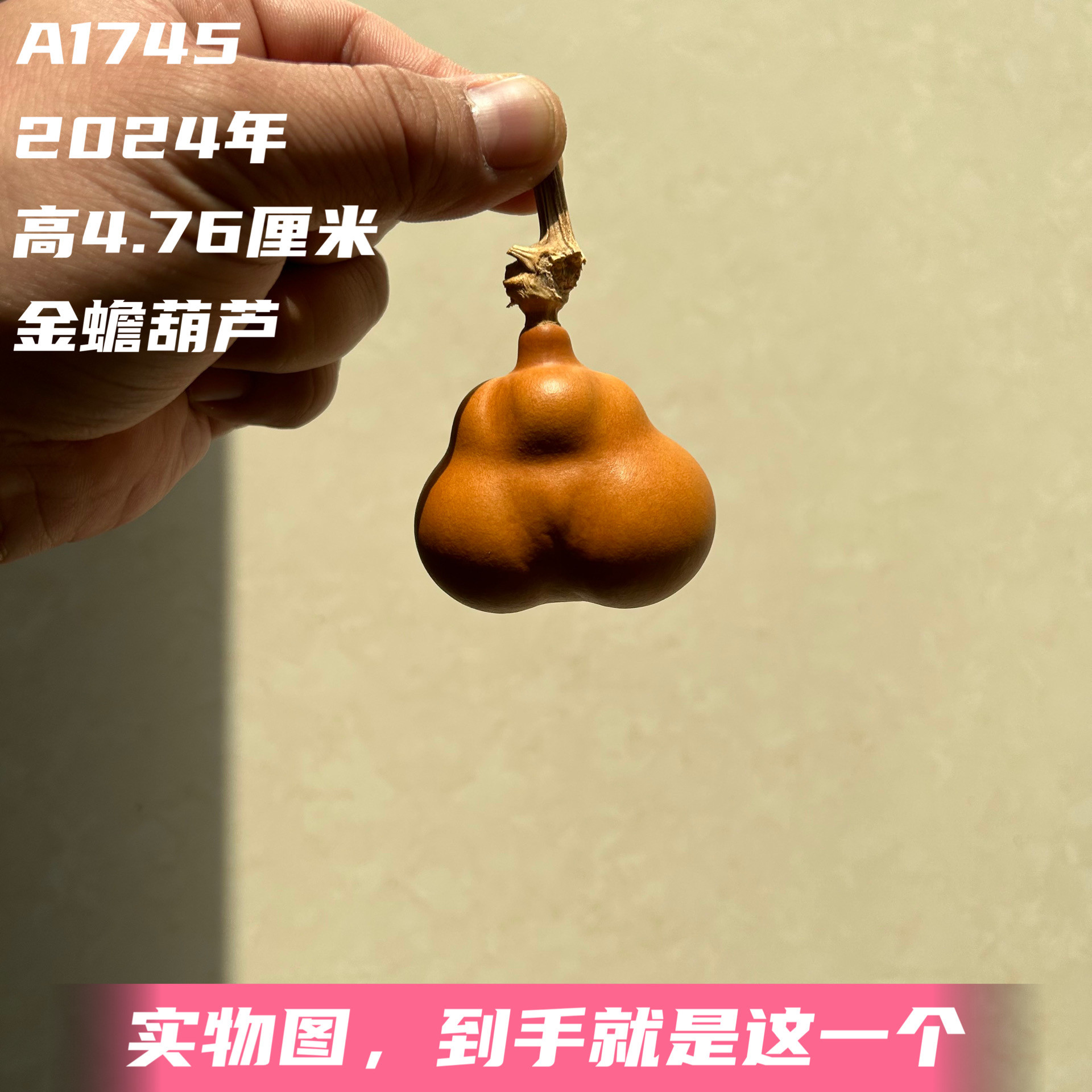 A1745高4.76厘米2024年精品手捻勒扎蝴蝶屁屁金蟾葫芦