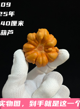 A1509高4.40厘米2024年精品手捻聚宝盆疙瘩葫芦
