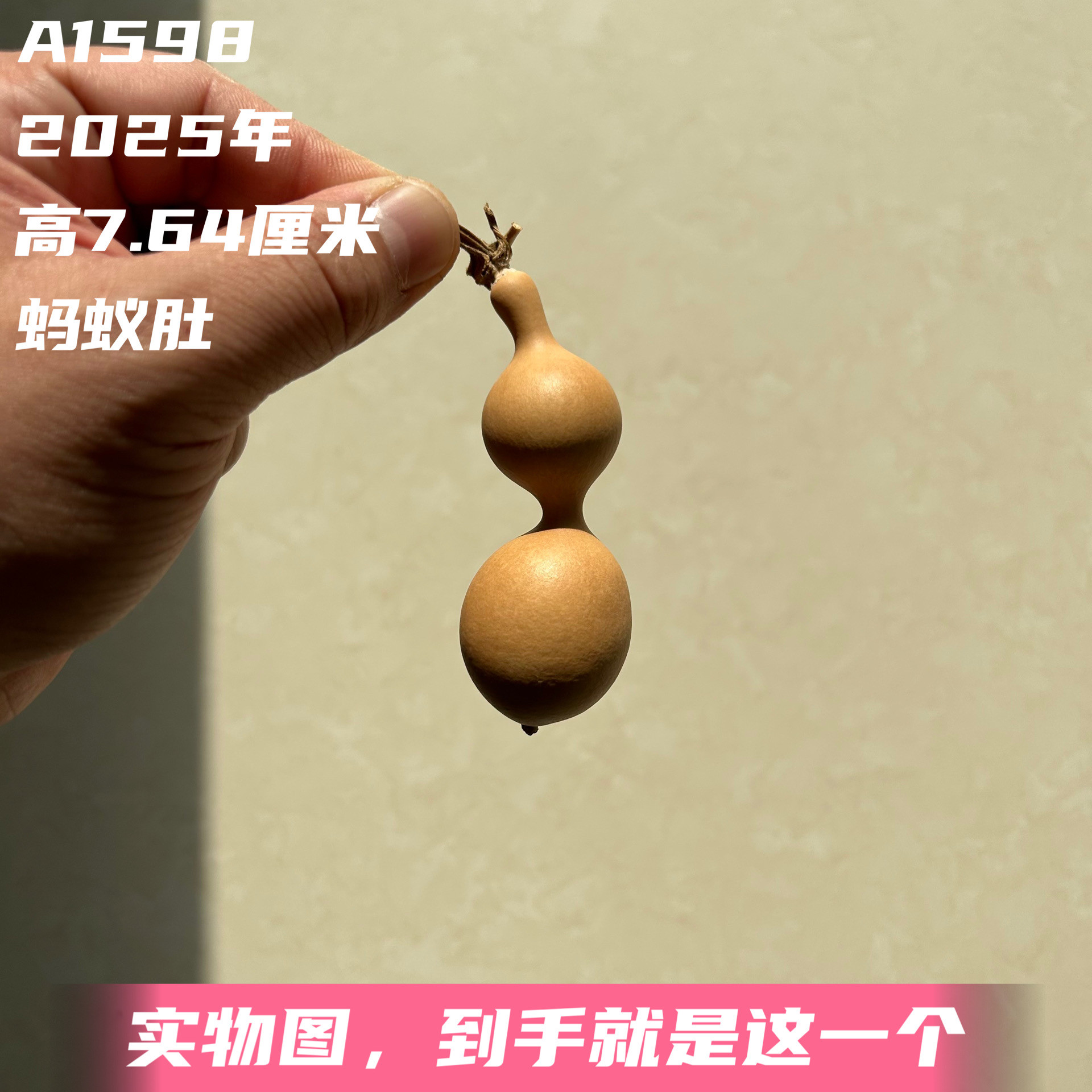 A1598高7.64厘米2025年精品手捻长嘴圆肚绿皮蚂蚁肚葫芦