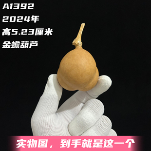 A1392高5.23厘米2024年精品手捻勒扎胖墩金蟾葫芦