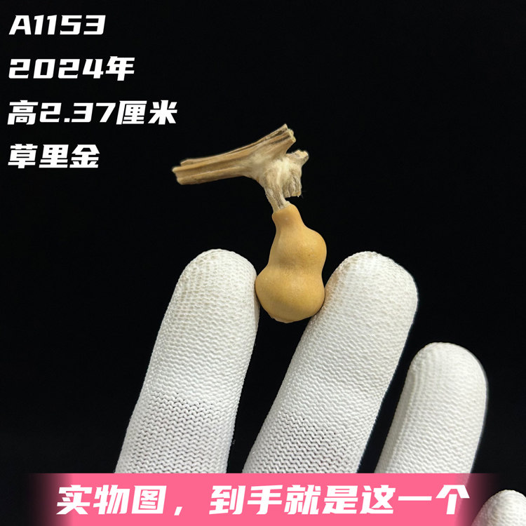 A1153高2.37厘米2024年精品手捻异形草里金文玩葫芦
