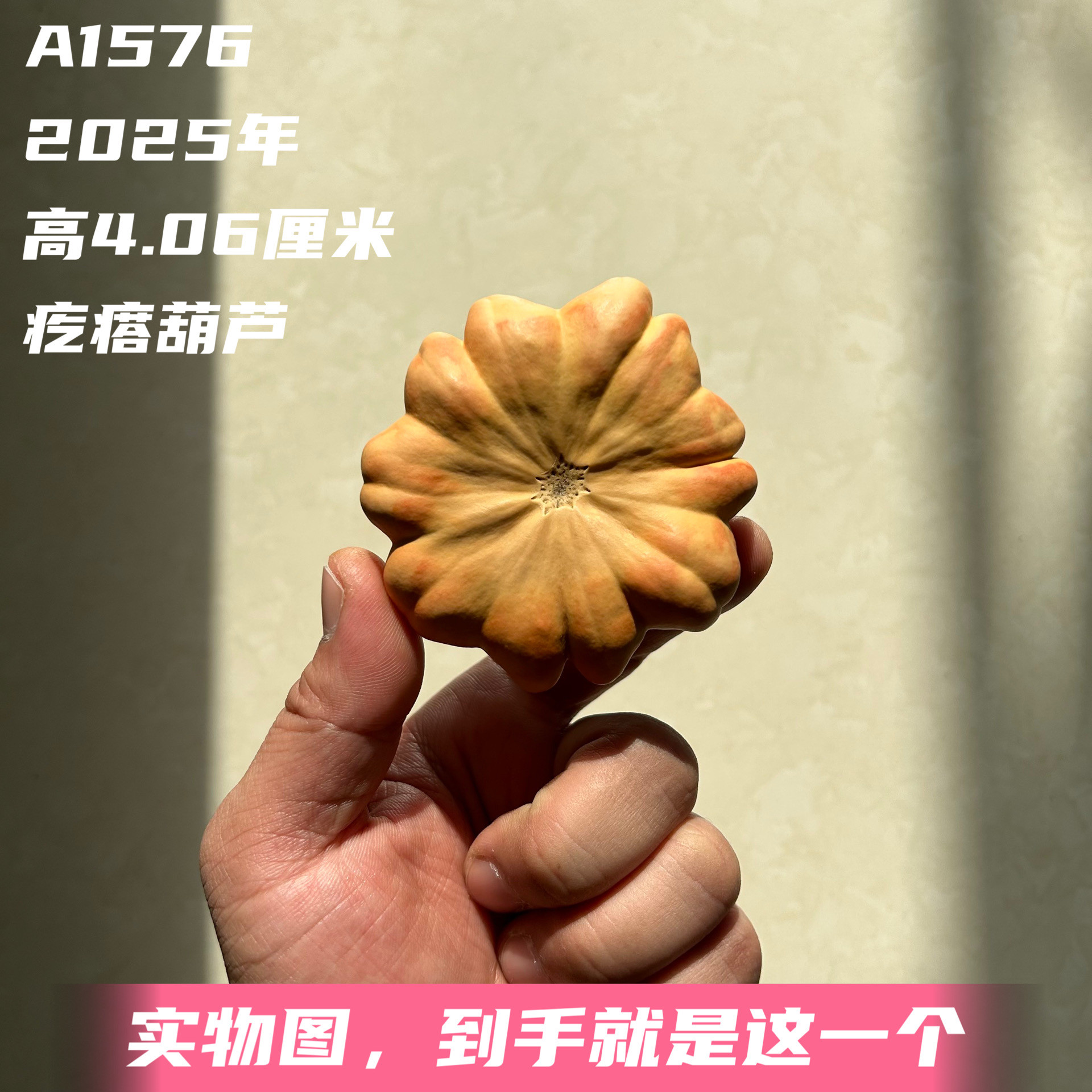 A1576高4.06厘米2025年精品手捻俏色荷叶花墨西哥葫芦