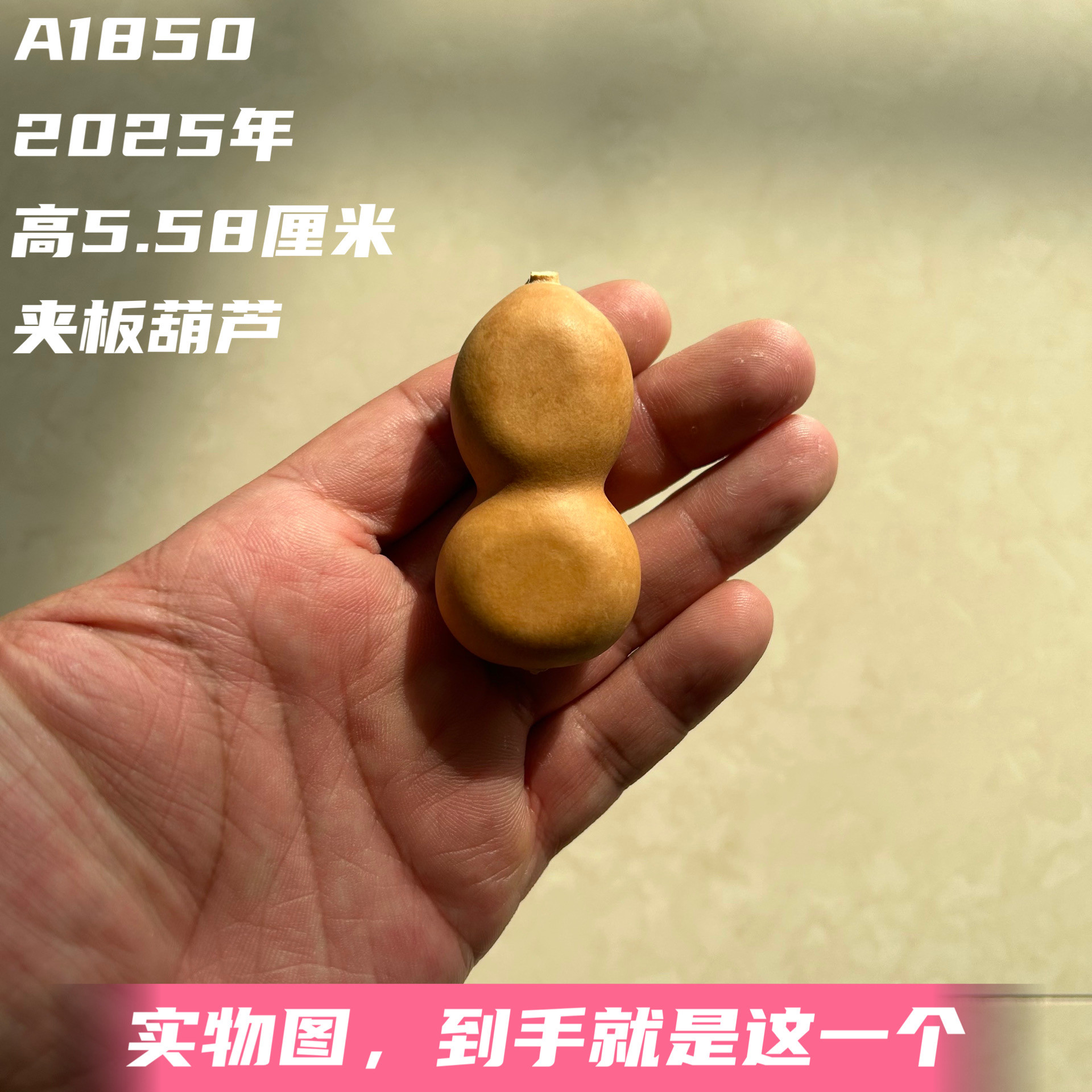 A1850高5.58厘米2025年精品手捻小美国夹板葫芦