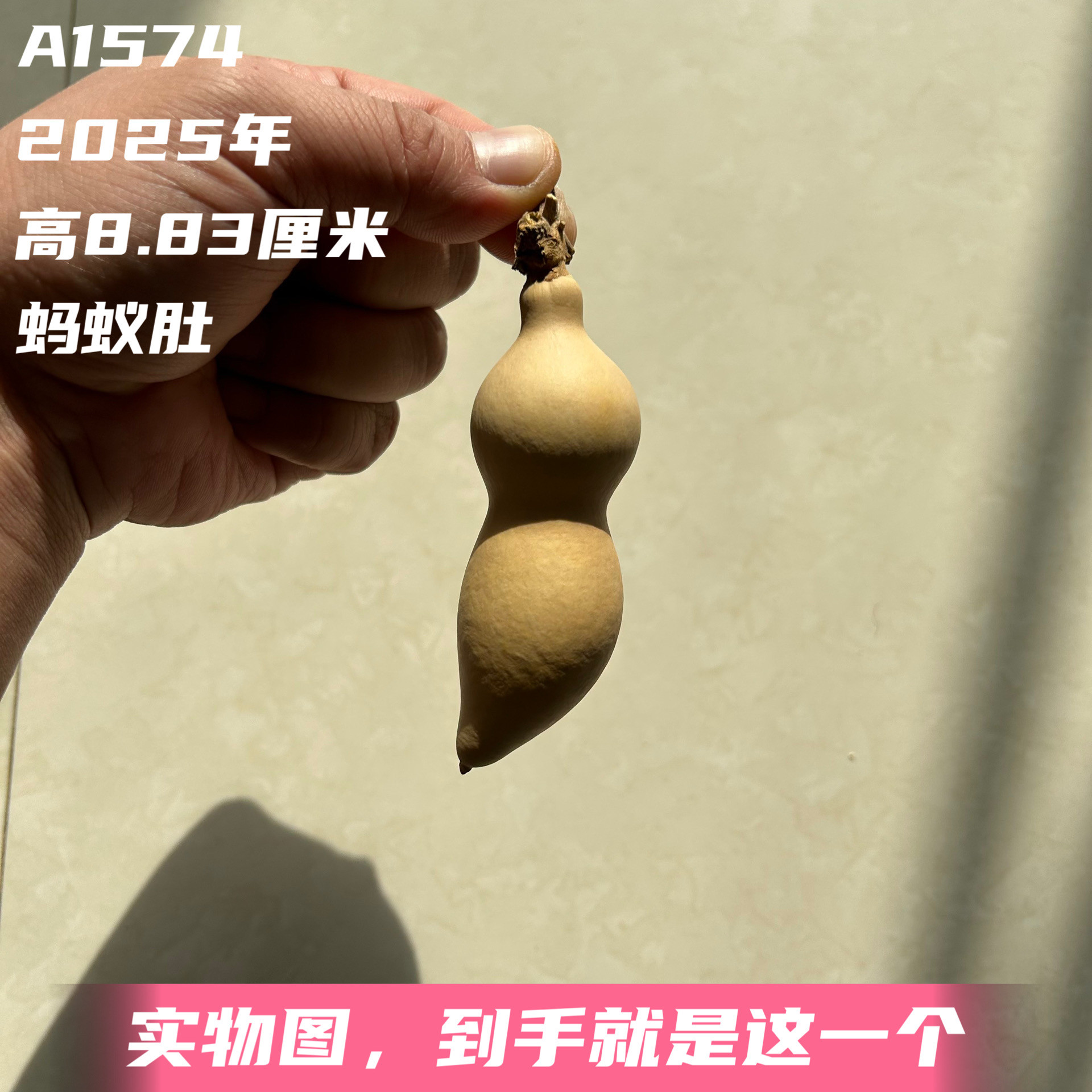 A1574高8.83厘米2025年精品手捻贵妃蚂蚁肚葫芦