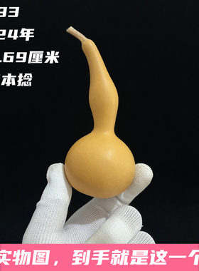 A1193高11.69厘米2024年精品手捻本地手捻葫芦