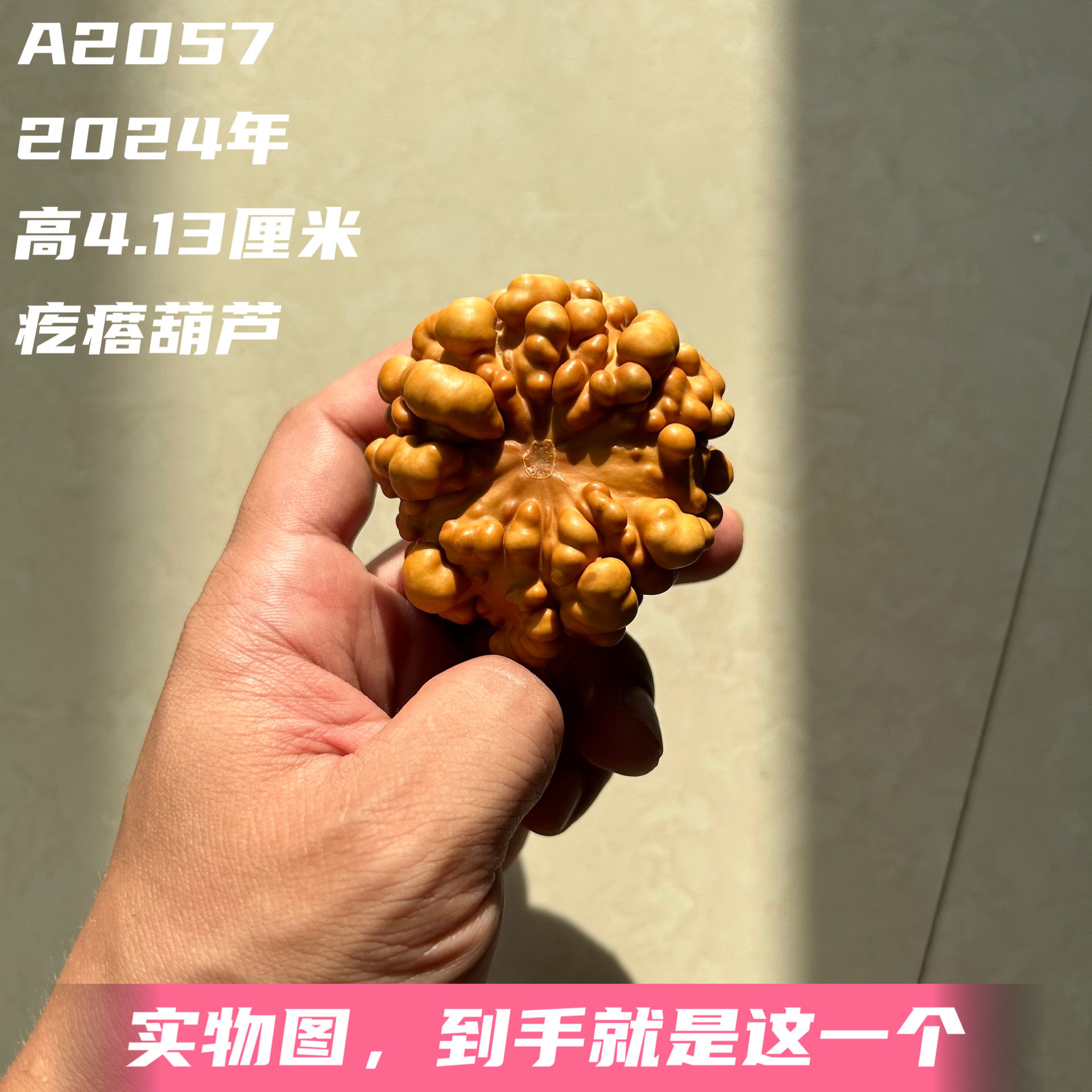 A2057高4.13厘米2024年精品手捻爆肉墨西哥七彩疙瘩葫芦
