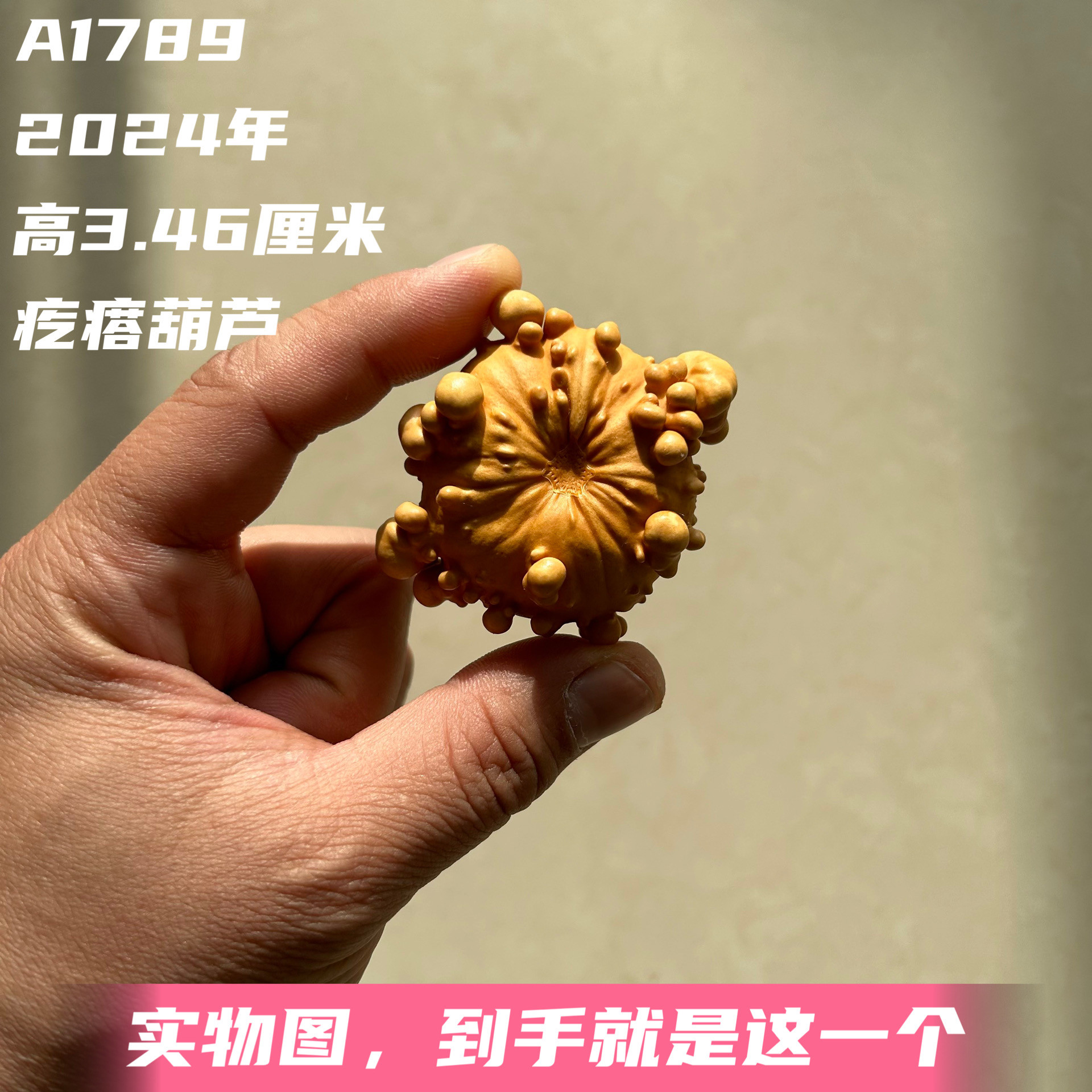 A1789高3.46厘米2024年精品手捻墨西哥疙瘩葫芦