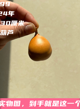 A1799高4.30厘米2024年精品手捻勒扎胖墩金蟾葫芦