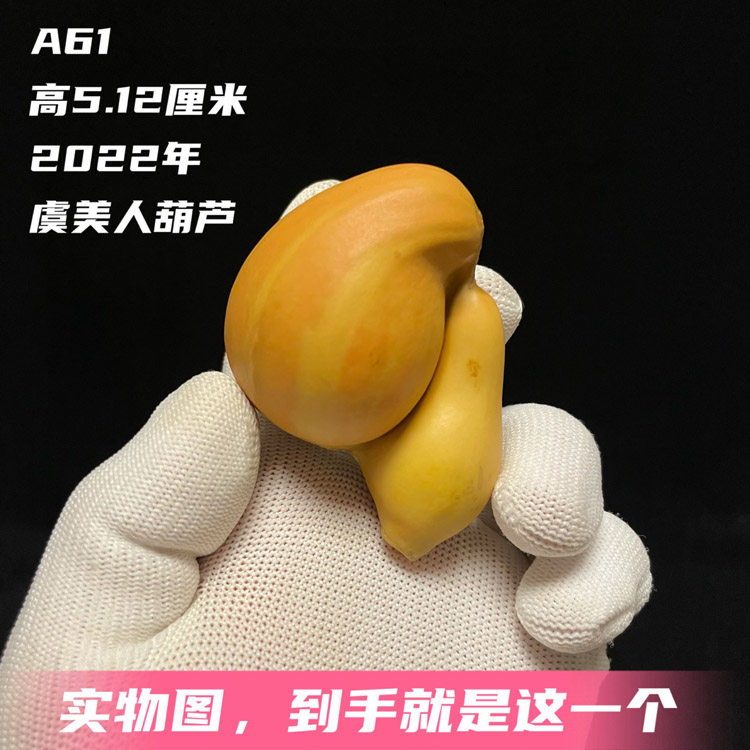 A61高5.1厘米2022年份天然异形虞美人连体文玩葫芦