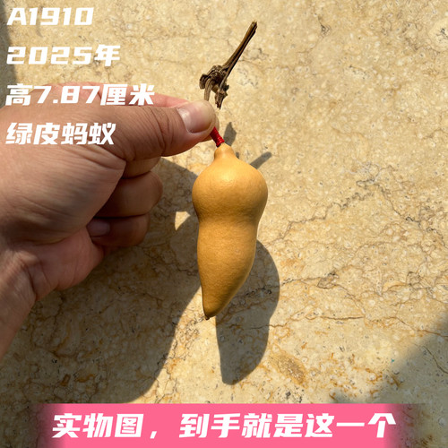 A1910高7.87厘米2025年精品手捻端肩粗腰尖肚绿皮蚂蚁肚葫芦
