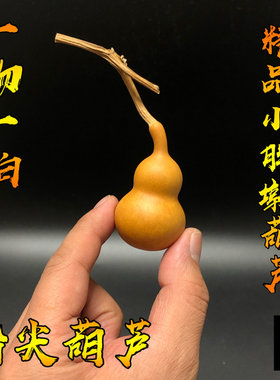 精品文玩小胖墩形手捻葫芦把件