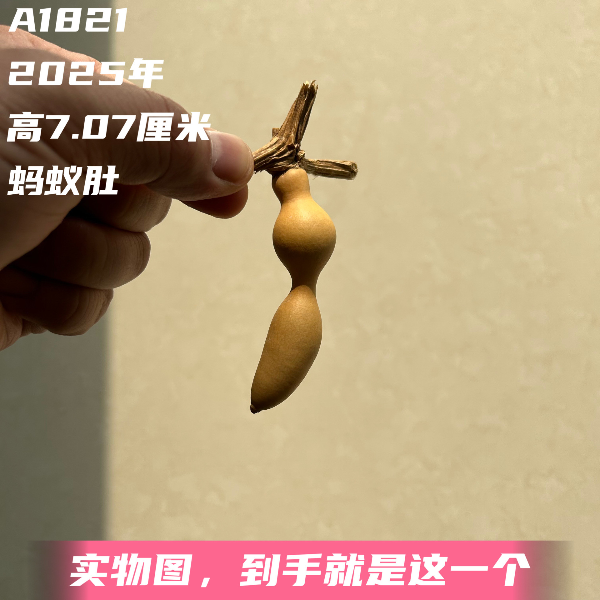 A1821高7.07厘米2025年精品手捻蚂蚁肚葫芦
