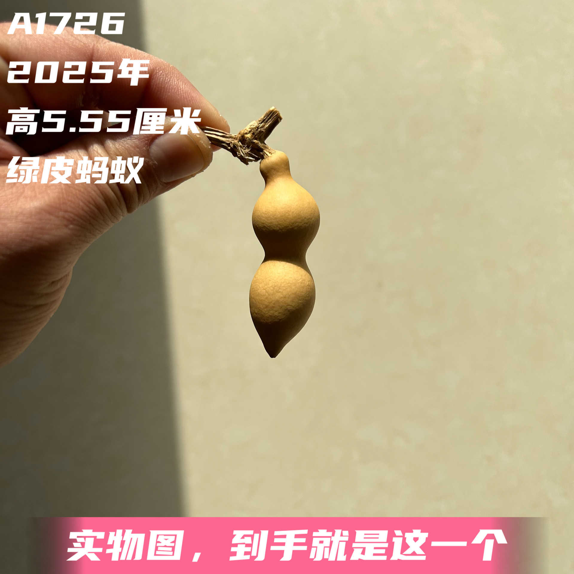 A1726高5.55厘米2025年精品手捻小尺寸尖肚绿皮蚂蚁肚葫芦