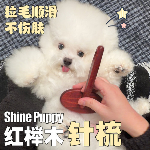 澳洲进口PlushPuppy红榉木针梳