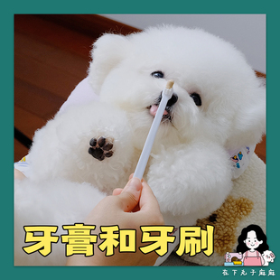 含牙刷 维克牙膏 猫狗口腔去味除臭结石 宠物刷牙 在下肉丸子