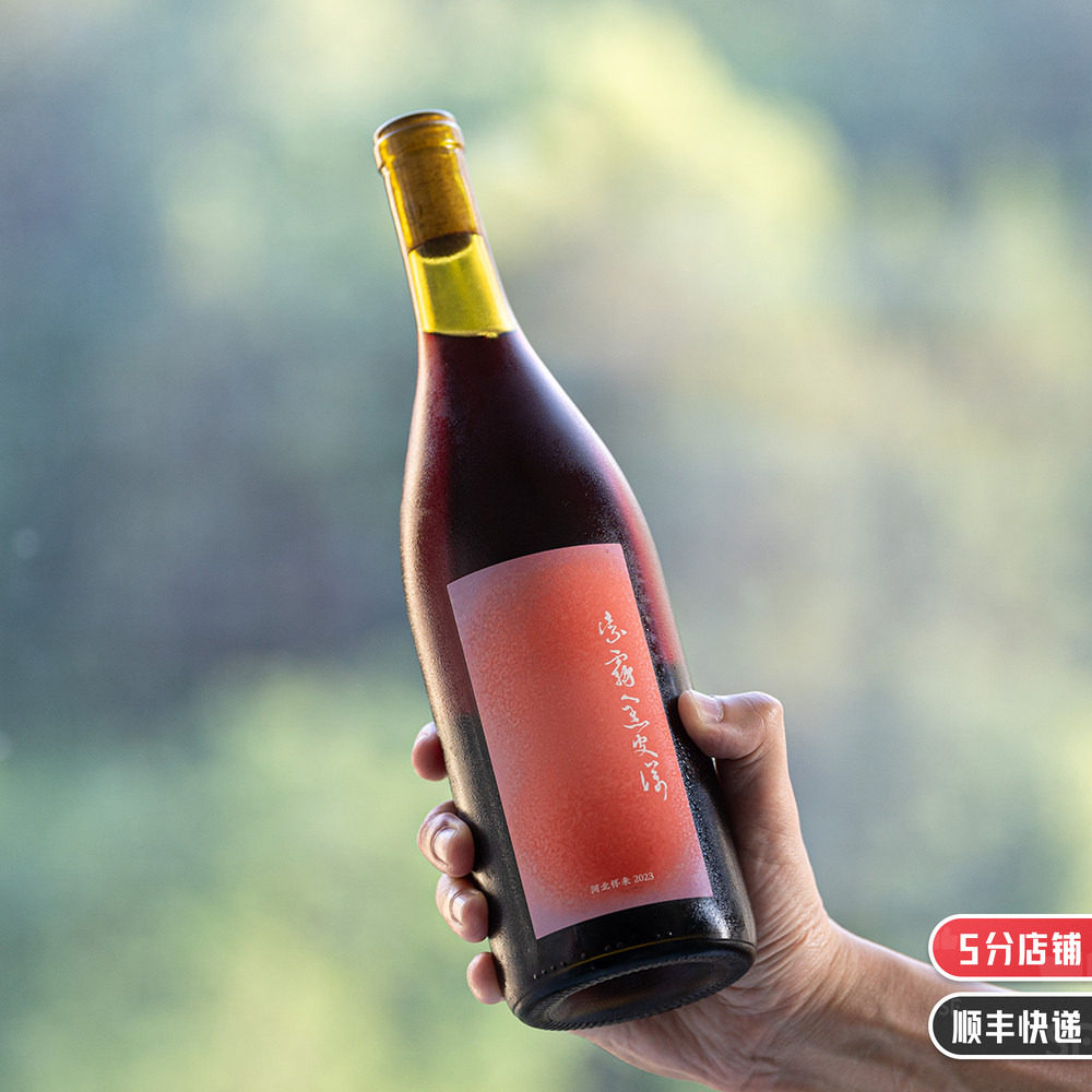 吊打同价位勃艮第｜贝丹德梭双料大金奖｜紫雾黑比诺干红2023