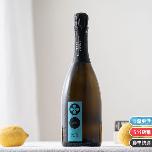清新可人｜意大利进口土牌绝干高泡起泡酒气泡酒干型白葡萄酒 - 封面