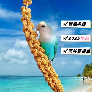 鹦鹉谷穗2025年上新鸟粮鸟零食饲料小米黄谷子仓鼠真空零食天然