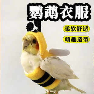 鹦鹉衣服斗篷搞笑外出蜜蜂披风加厚保暖冬天宠物牡丹饰品用品虎皮