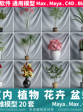 室内植物盆栽花卉花瓶3D三维模型20套maya3dmaxc4dblender