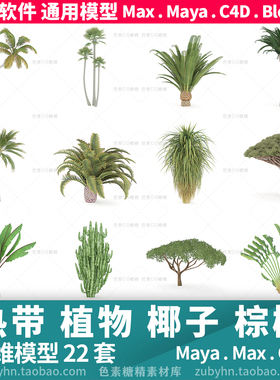 热带植物树木椰子树棕榈树面包树三维模型maya3dmaxc4dblender
