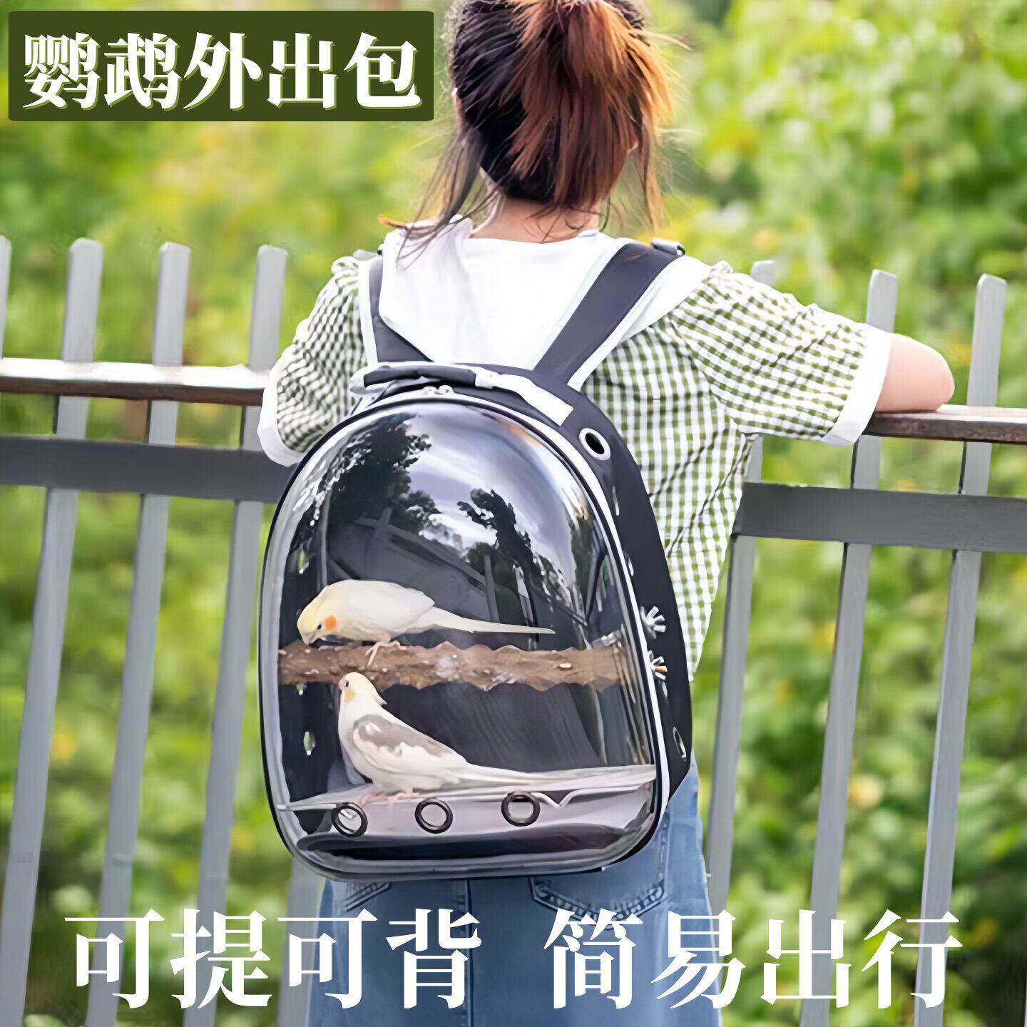 鹦鹉外出便携鸟包透明透气宠物鸟用外出外包鸟笼外出背包大号带