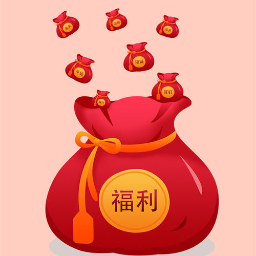 福袋银针百搭耳夹
