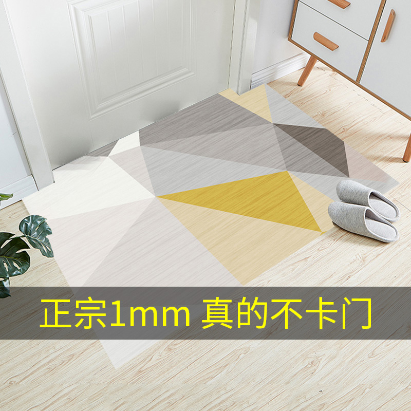 超薄1mm薄款地垫入户可定制