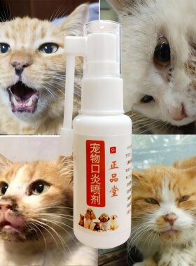 猫犬流口水口臭牙龈牙周炎口炎