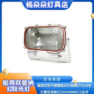 船用方形不锈钢投光灯大探照灯TG19双灯管钠灯220V400W码头泛光灯