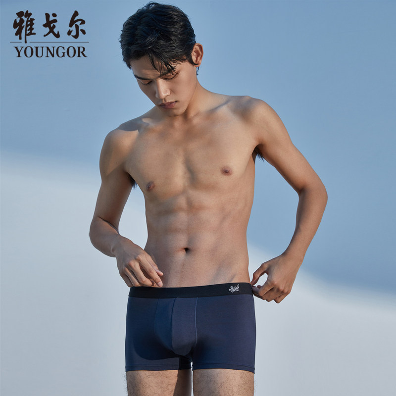雅戈尔男士内裤平角裤组合斯文商务男士中青年,女士内衣/男士内衣/家居服,男平角内裤,淘宝优惠券,粉丝福利购,淘宝优惠卷