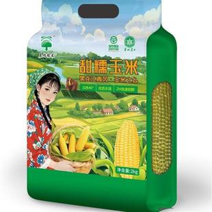 辰旭稼禾全新升级铝箔8+1支24年黑龙江青冈新黄糯玉米金黄香甜糯