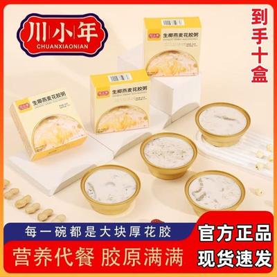 川小年生椰燕麦花胶粥166*10盒速食代餐燕麦粥健康养颜即食