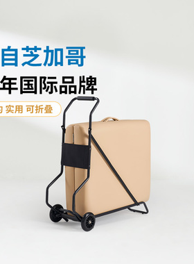 名腾折叠工具车按摩床美容床专用小推车拖车搬运车金属推拉车TC01