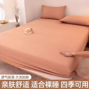 水洗棉亲肤磨毛床笠单件纯色席梦思床罩宿舍床垫保护罩全包床单套